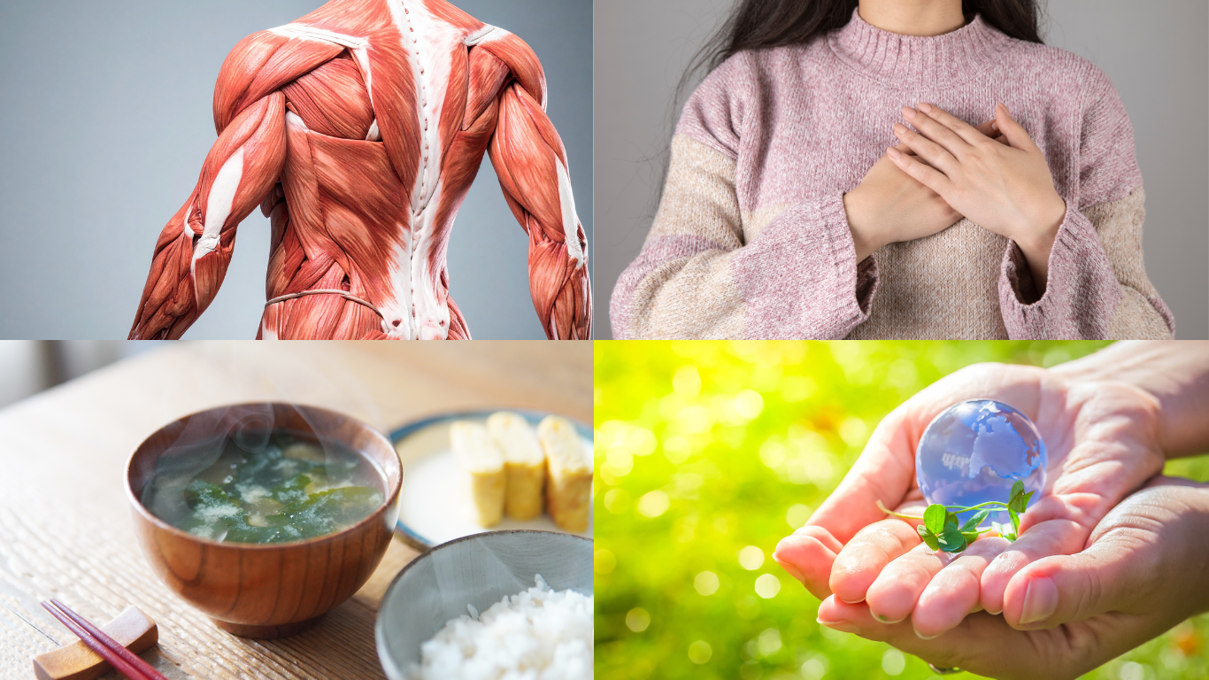 今治療院の考え方 今治療院の考え方