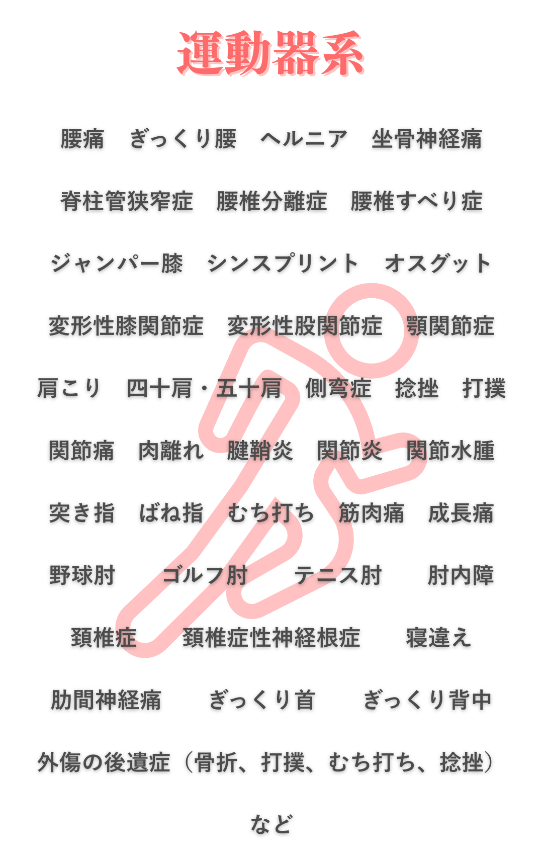 運動器系 運動器系